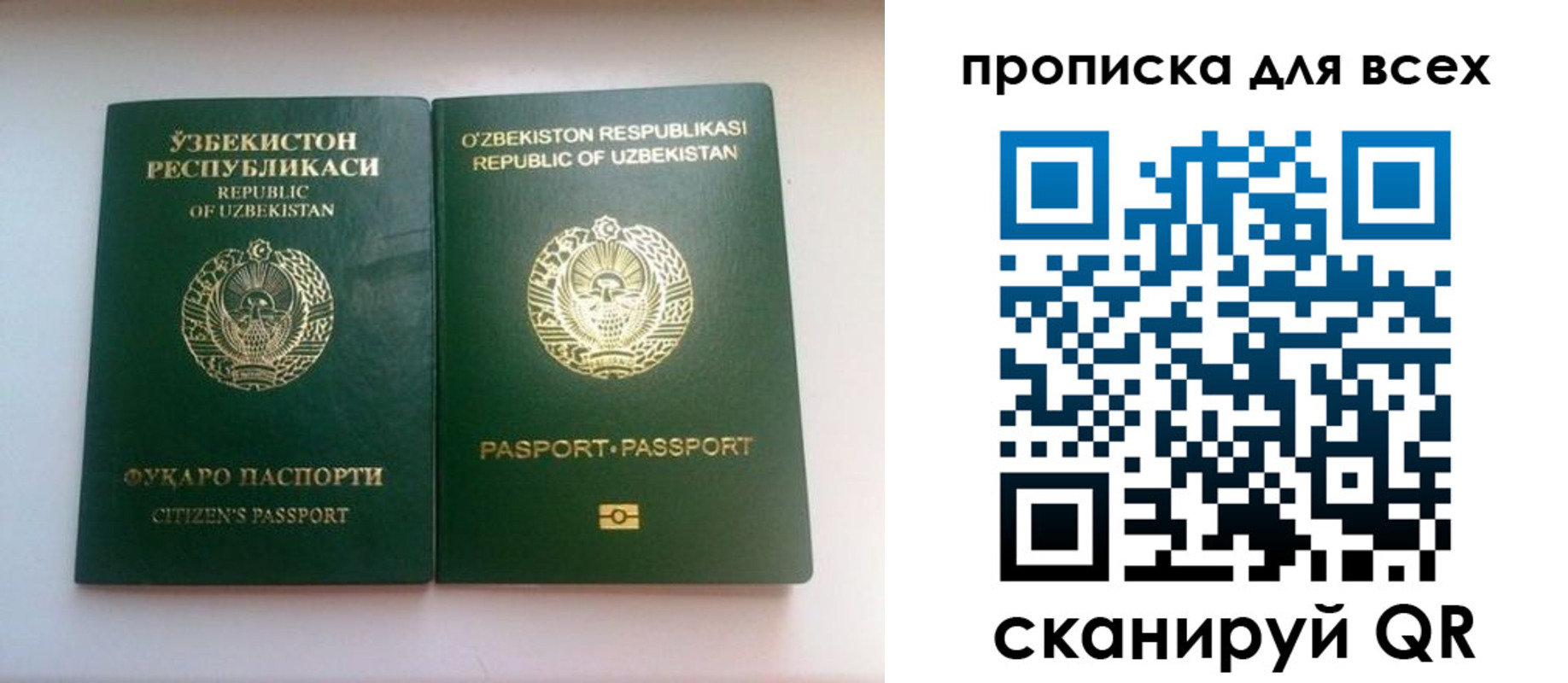 прописка для школы в Пермской области